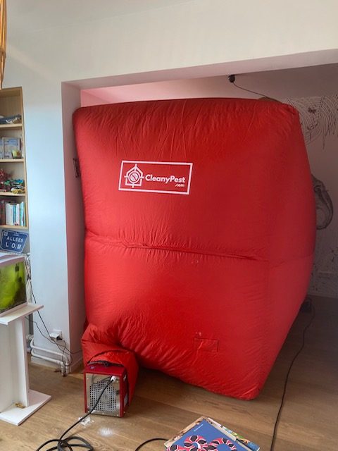 Tente chauffante CleanyPest XXL installée dans un appartement à Marseille pour un traitement des punaises de lit