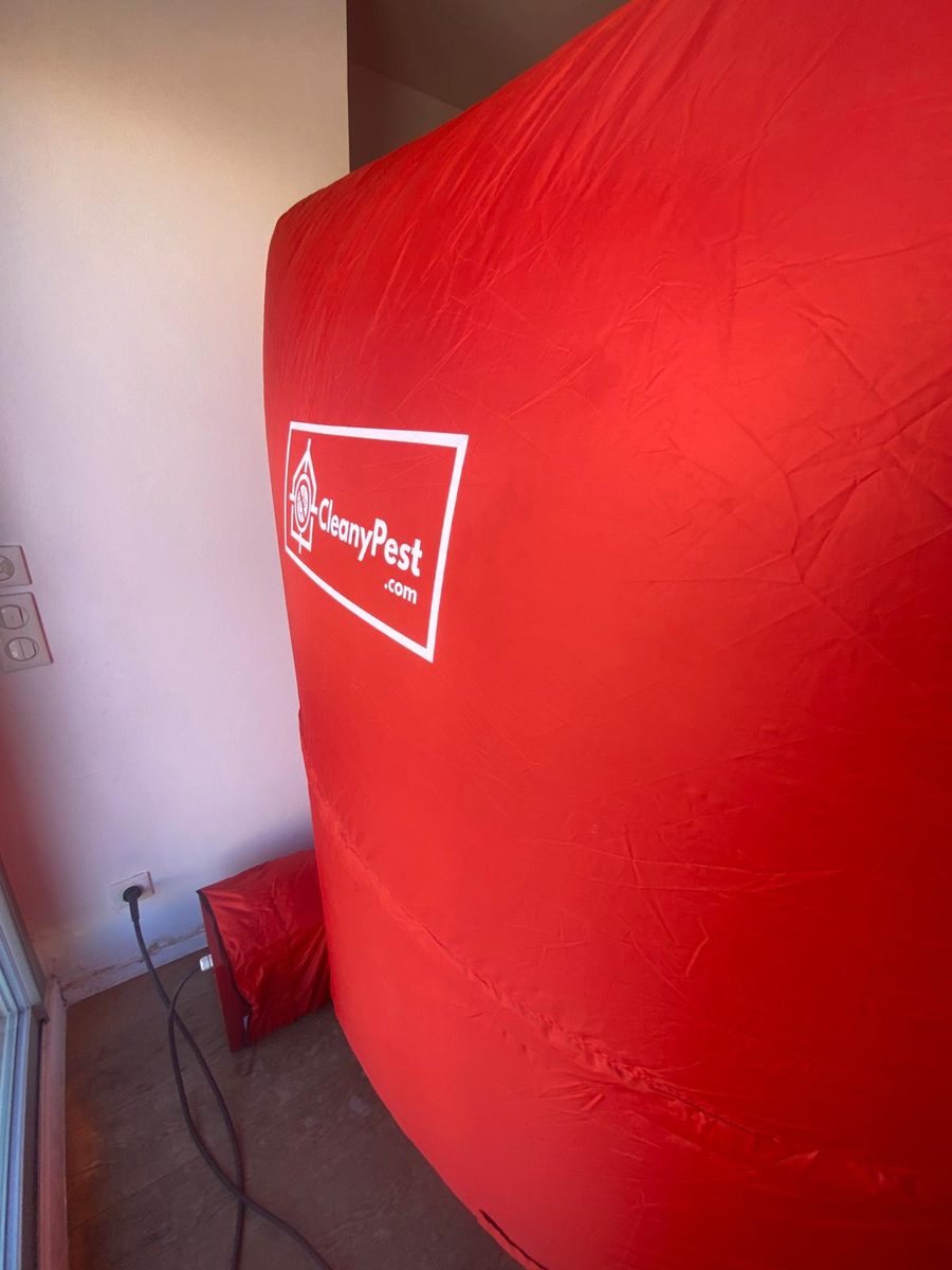 La tente XXL en chauffe dans l'appartement, intervention d'avril 2026