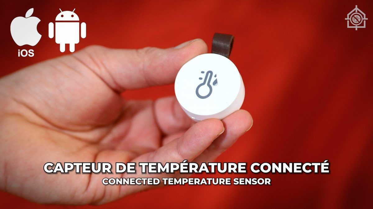 La sonde de température connectée tenue dans la main devant la tente