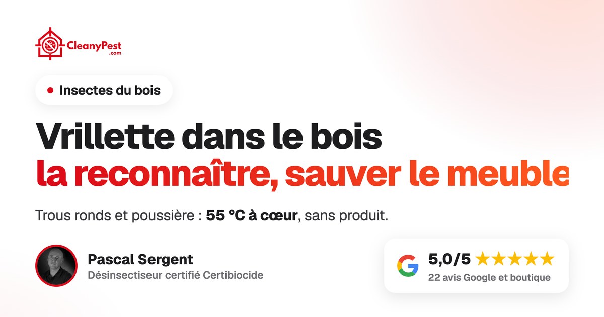 Meubles placés dans la tente chauffante CleanyPest XXL