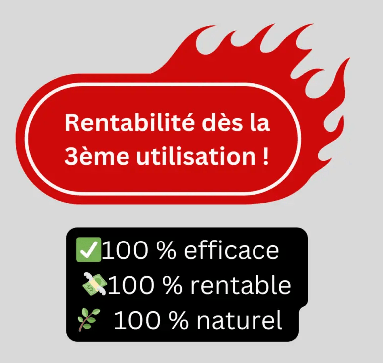 Pourquoi investir dans une Tente Chauffante Anti Punaises de Lit ? | 💥-Eradiquez-les-punaises-de-lit-et-boostez-vos-revenus-avec-Clinipest-8 💥-Eradiquez-les-punaises-de-lit-et-boostez-vos-revenus-avec-Clinipest-8